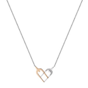 Silver chain necklace with a Core necklace featuring two interlocking hearts, one gold and one silver, set against a green background.