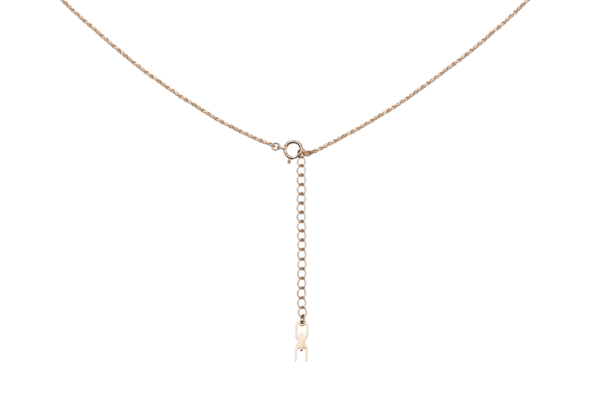 Gold Necklace Imperium with a circular clasp and dangling fork charm, isolated on a dark green background.